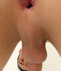 boy porn twinkie butts 5e84ac816cdd4.jpg