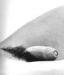 gay monochrome mix 5eaa33a29593a.jpg