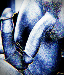 gay porn tube two be nude 5ecfdac04aa06.jpg