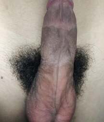 gay porn boys hairy and hard 5ee4f06001580.jpg