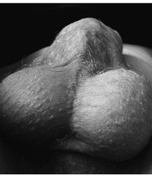 mono mixer twinks gay tube porn 5f0895ec89b89.jpg
