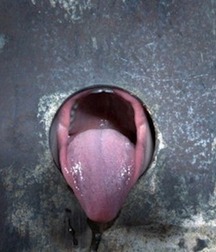 Friday's fix boys porn 101 5f0897d347e7a.jpg