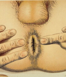 weekend gay tube pics 5 boys porn 5f09ac34c6d05.jpg