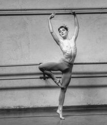 ballet boys bulges gay tube guys 5f5693ef6005a.jpg