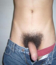 plentiful pubes boys porn cocks 5f7a138ccea5b.jpg