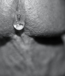 cock variety pack twink gay porn 5f7f7fdf7fdd1.jpg