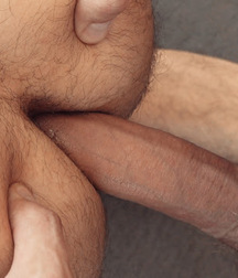 gay tube Sunday's mix 5f8c4f3f6a16d.jpg