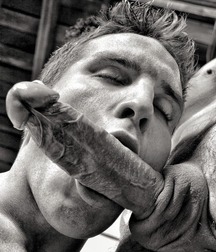 mega monochrome mix gay tube 5f9025db18667.jpg
