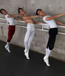 ballet boys bulging gay tube 5f98b177ca23d.jpg