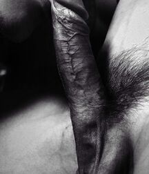 taken orally gay porn twinks 5fa4281eb0880.jpg