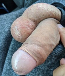 trying to escape twinks gay porn 5fb2de38187bf.jpg