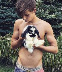 the the v look gay tube mix 5fb56d0f6e4ee.jpg