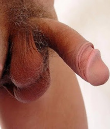 balls and bats gay tube 5fd01d78ce9d3.jpg