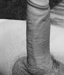 boys porn cocks close-ups 5fd797b84af9c.jpg