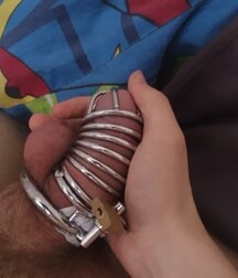 caged cocks boys porn 5fe7e56729152.jpg