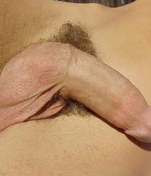 pube proud twink gay porn 5ffb49bf7f5d3.jpg