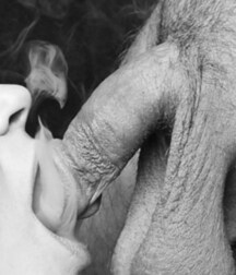 gay tube oral history 600dd45049b02.jpg