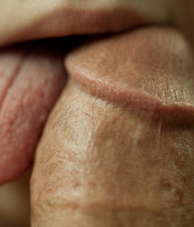 gay tube oral history 600dd451e36bf.jpg