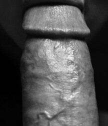 gay tube oral history 600dd4550a388.jpg