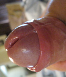 nude pix mix twink tube 601aac8316049.jpg