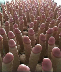 Friday gay tube pix mix 6 601df8334904e.jpg