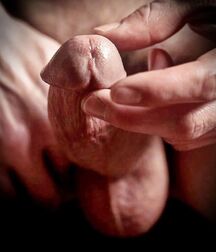 ballsy boys gay boys porn 6026e9c660f3a.jpg
