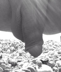 gays in grayscale image tube mix 6027f9c4681f5.jpg