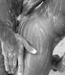 Monday's monochrome mix boys porn 604fc3b32d409.jpeg