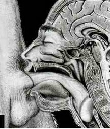 grayscale pix mix twink gay tube 60649607959ef.webp