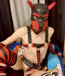 gay pics for today gay tube 606f006eaba0f.jpg