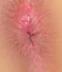 Hot asses and hotter holes - 1 - Closeup Gay Tube 60c7844bbc770.jpg