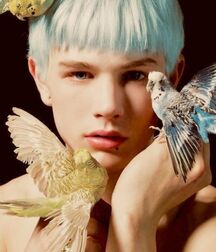 Luke Worrall Bad Boy Supper Model 610733f8eda88.jpg
