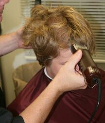 Buzz Cuts 1 611ec5cbeb7e5.jpg