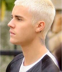 Buzz Cuts 1 611ec5cd97cb8.jpg