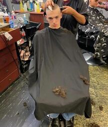 Buzz Cuts 1 611ec5ddd3133.jpg