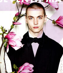 Buzz Cuts 1 611ec663240da.jpg