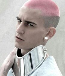 Buzz Cuts 1 611eca8521905.jpg