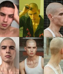 Buzz Cuts 1 611eca96ae770.jpg
