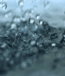 Images Twinks Gay Porn Boys 612d7ac95e199.gif