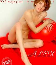 Twink Tube Everything Including The Kitchen Sink Boys Porn 613fd62eb98b6.jpg