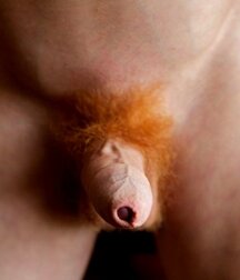 Twink Tube Everything Including The Kitchen Sink Boys Porn 613fd9269bc81.jpg