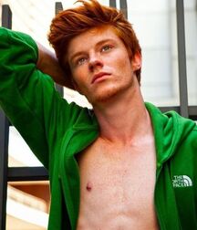 Twink Tube Everything Including The Kitchen Sink Boys Porn 613fdbc6ecf88.jpg
