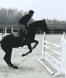 Beam Me Up Scotty Gay Porn 6163737935567.gif