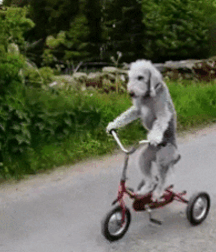 Beam Me Up Scotty Gay Porn 616380d762290.gif