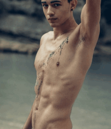 Elephant Walk Gay Porn 61870dffa89bd.gif