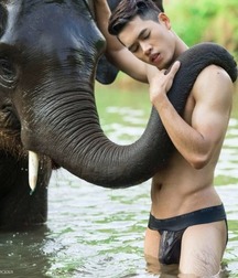 Junge Schwänzegay porn 6199a20ca24d2.jpg