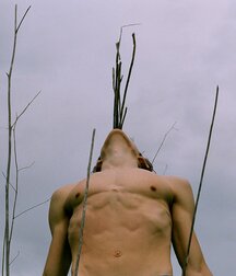 Junge Schwänzegay porn 6199beca06c49.jpg