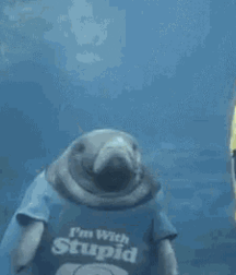 Not A Meatless Monday boys porn 61aecec3dd15b.gif