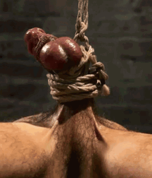 Not A Meatless Monday boys porn 61aeddb244a94.gif