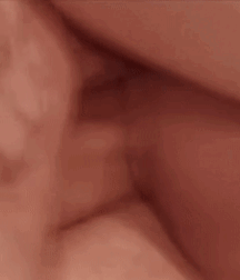 Not A Meatless Monday Smooth Twink Madness Porn 6295784a7ebbc.gif